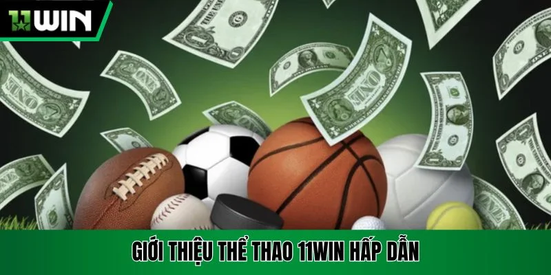 Giới thiệu Thể thao 11win hấp dẫn