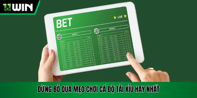 Đừng bỏ qua mẹo chơi cá độ tài xỉu hay nhất