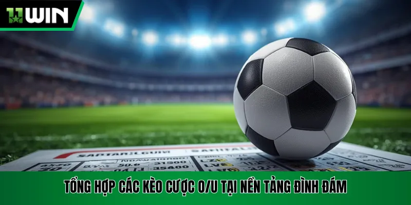 Tổng hợp các kèo cược O/U tại nền tảng đình đám